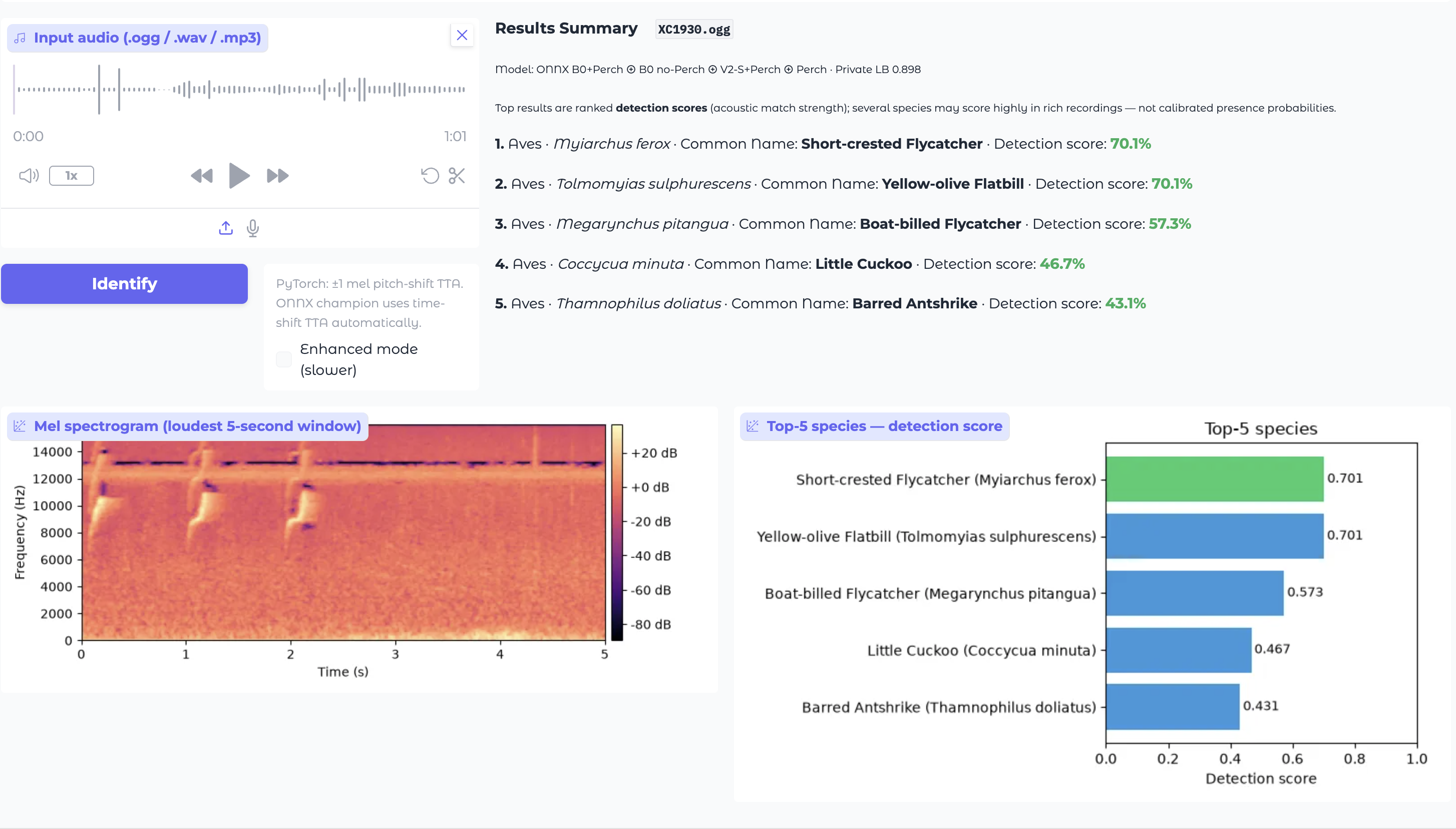 Mel spectrogram example of a species vocalization